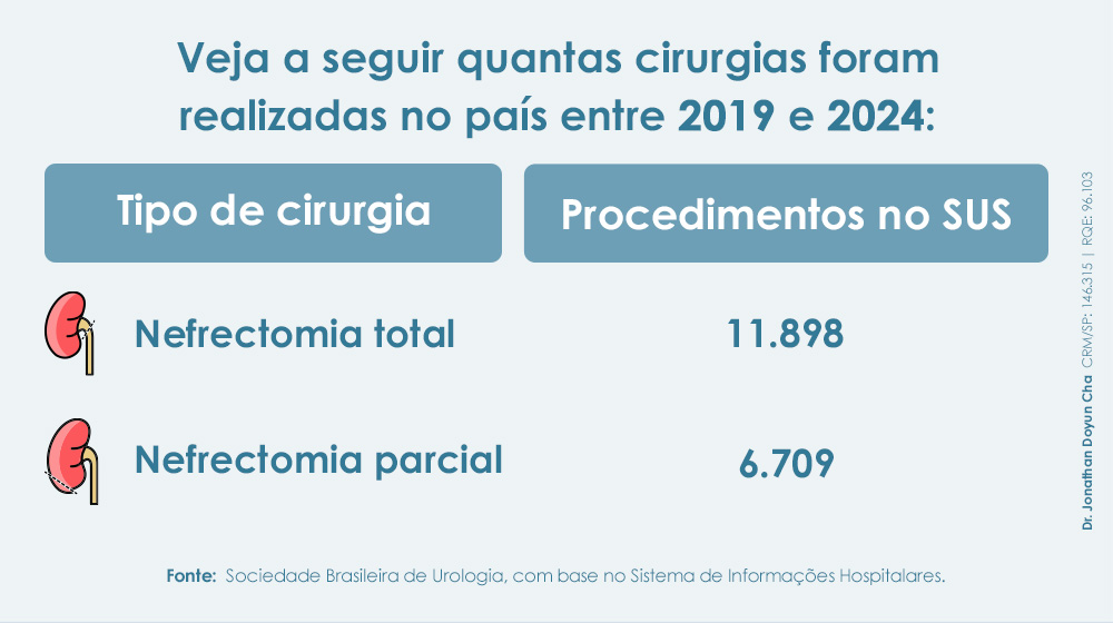 Quantas cirurgias foram realizadas no país entre 2019 e 2024